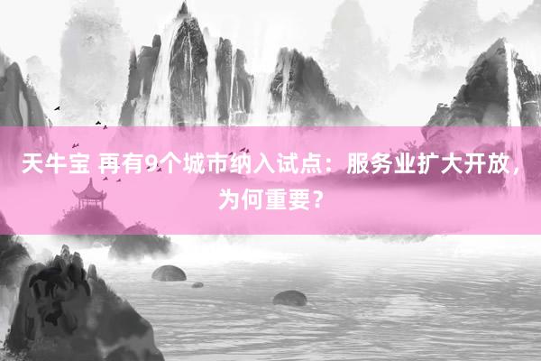 天牛宝 再有9个城市纳入试点：服务业扩大开放，为何重要？
