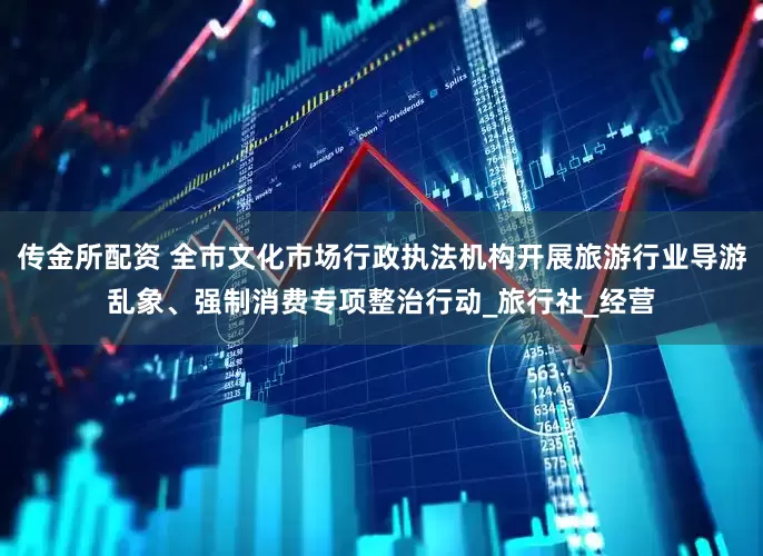 传金所配资 全市文化市场行政执法机构开展旅游行业导游乱象、强制消费专项整治行动_旅行社_经营