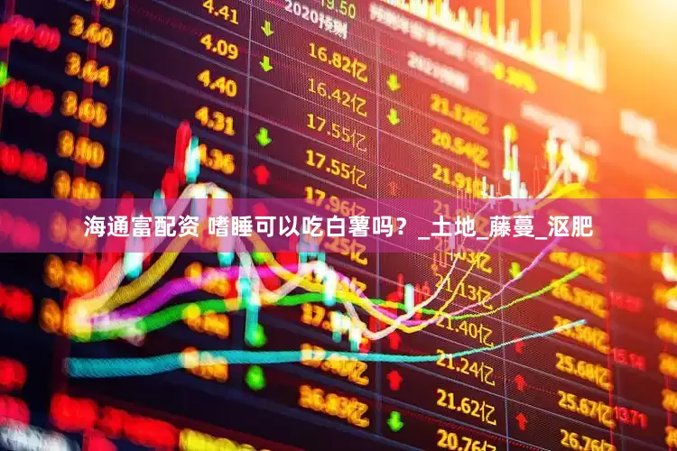 海通富配资 嗜睡可以吃白薯吗？_土地_藤蔓_沤肥