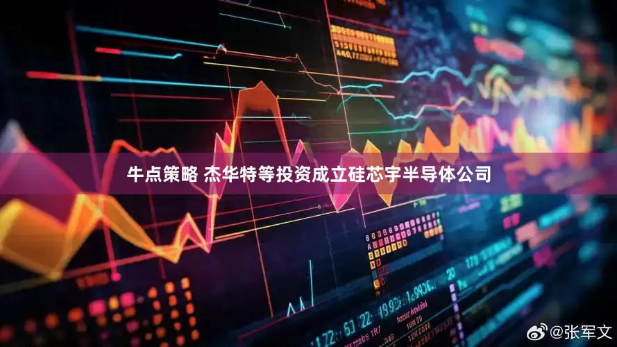 牛点策略 杰华特等投资成立硅芯宇半导体公司